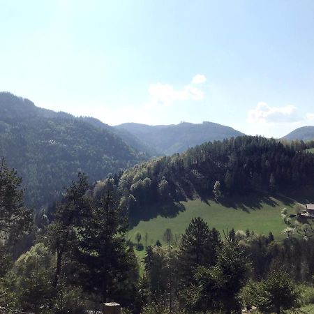 Waldblick Landhaus B&B Schwarzenbach an der Pielach Exterior foto