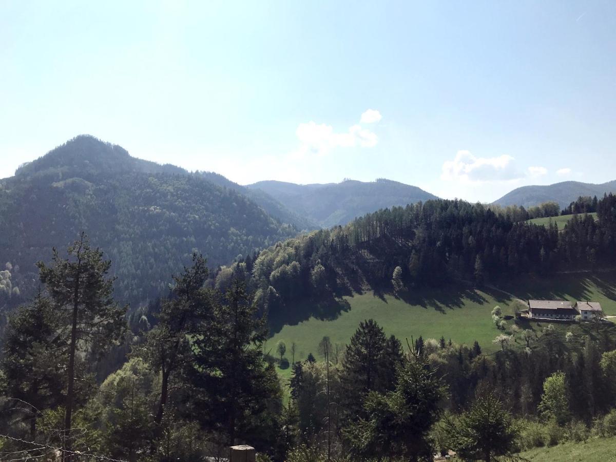 Waldblick Landhaus B&B Schwarzenbach an der Pielach Exterior foto